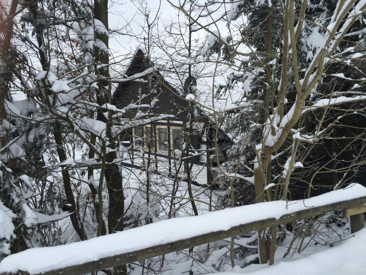 Ferienhaus Sauerlandtraum Winterberg Exterior foto