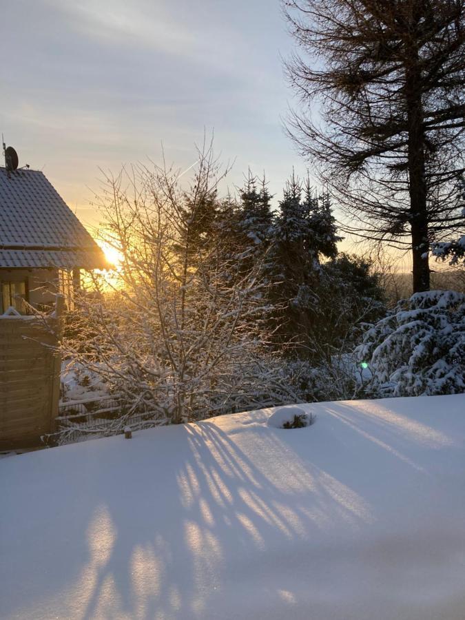 Ferienhaus Sauerlandtraum Winterberg Exterior foto
